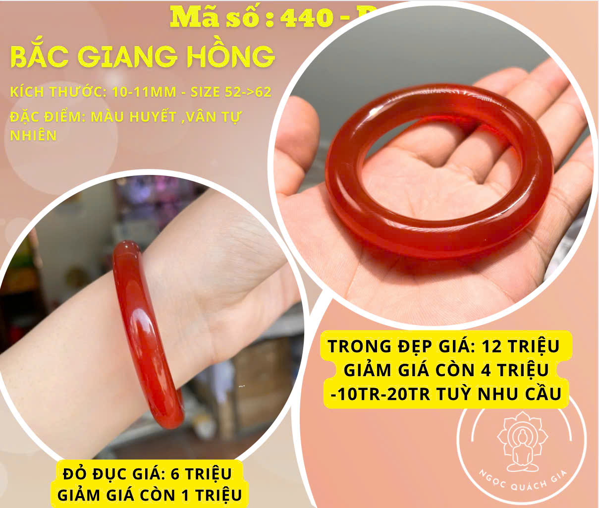 BẮC GIANG HỒNG - Mã số: 440 - Ngọc Quách Gia